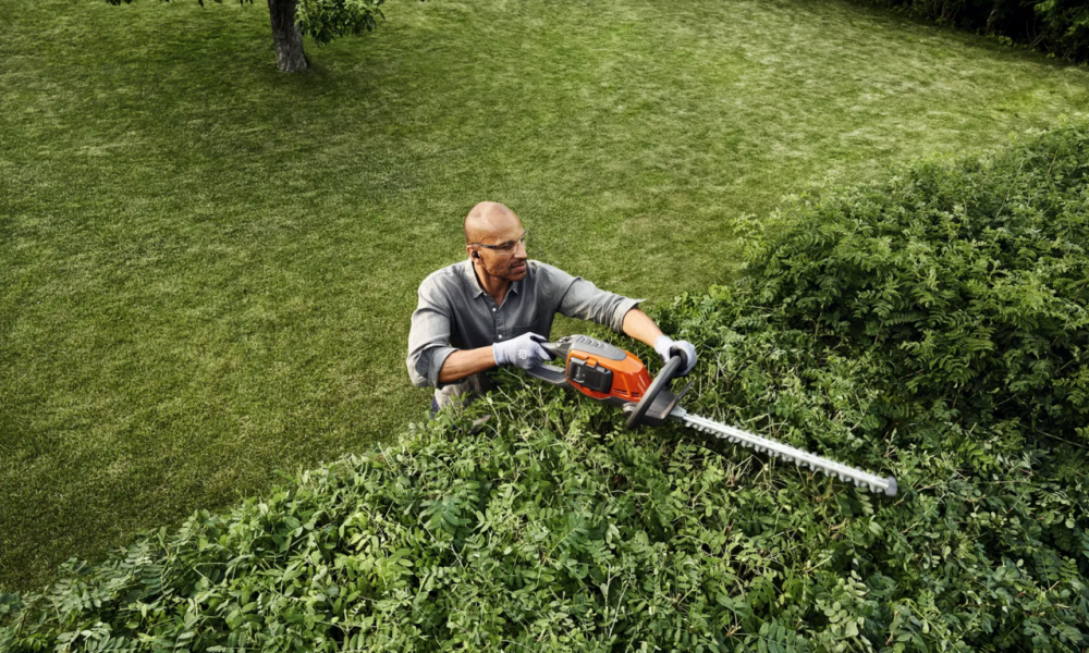 Best long reach battery hedge trimmer discount