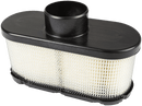 581990901 Husqvarna Air Filter
