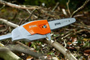 Stihl HTA66 Pole Pruner ( AP )