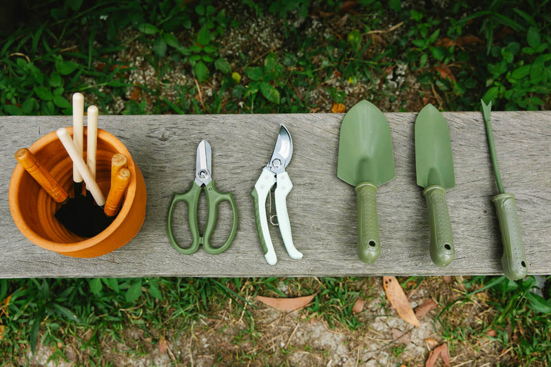Getting Your Garden Ready For Spring