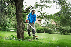 How Does a Strimmer Work?