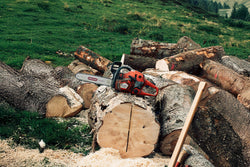 Petrol vs Electric vs Battery Chainsaws: Which One Is Right for You?