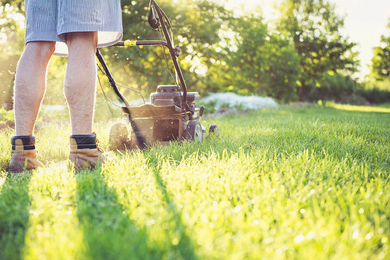 Push Lawnmower Buying Guide