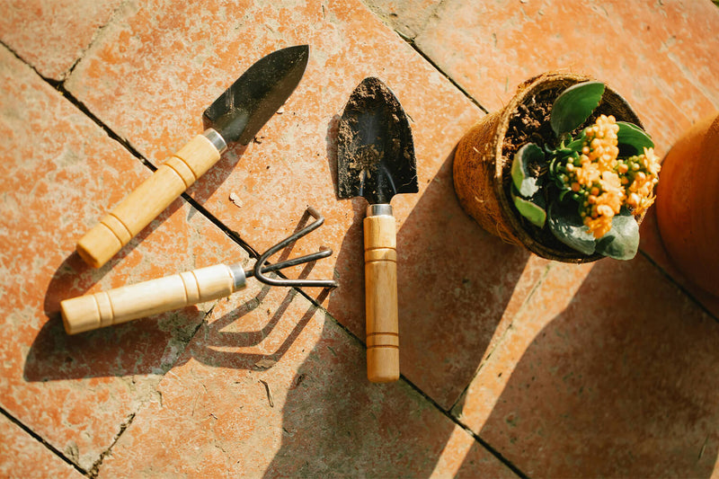 The Ultimate Hand Tool Maintenance Guide