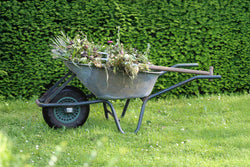 What To Do With Garden Waste