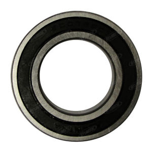 08101-06007 / W25TS04489