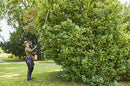 Stihl HLA135 Cordless Long-reach Hedge Trimmer 145° Head with  24" / 60 cm blade length ( AP )