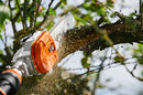 Stihl HTA135 Telescopic Pole Pruner ( Battery )