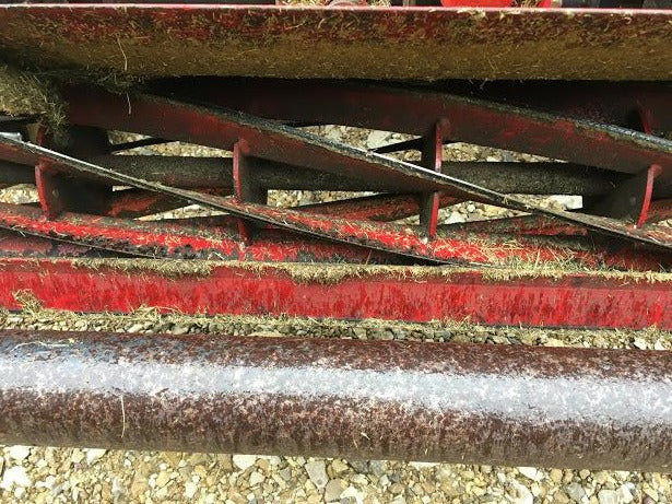 Saxon Triple LM180B Ride On Cylinder Mower