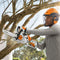 Stihl MS151 CE Chainsaw 10"