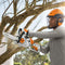 Stihl MS151 CE Chainsaw 10"