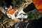 Stihl MSA300 Chainsaw 14" UNIT ONLY AP + FREE AP500S Battery
